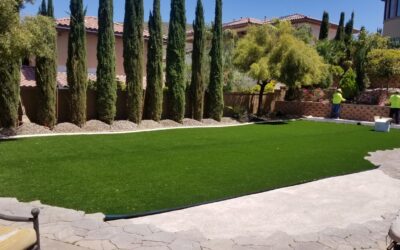 A Fall Guide To Lawn And Landscaping Care