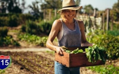 Top Landscaping Trends of 2021