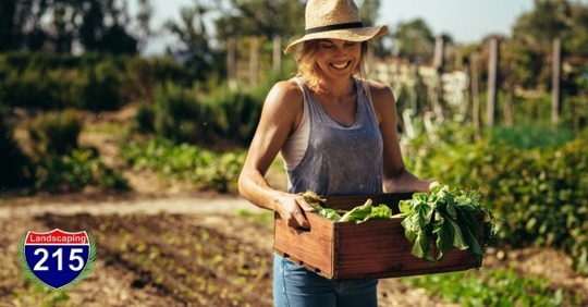 Top Landscaping Trends of 2021